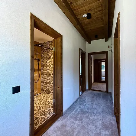 度假居 Bradutul De La Munte *