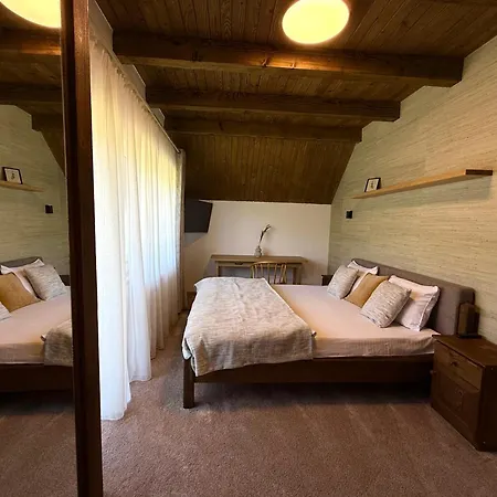 Bradutul De La Munte * 布拉索夫